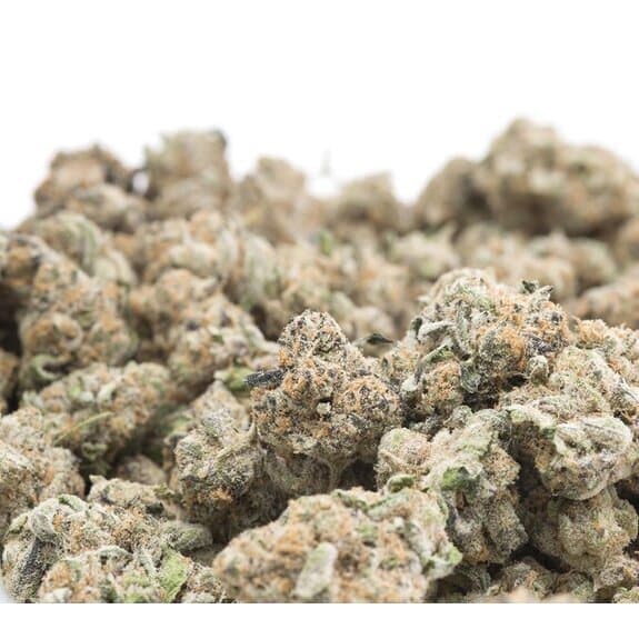 Equinox Girl Scout Cookie