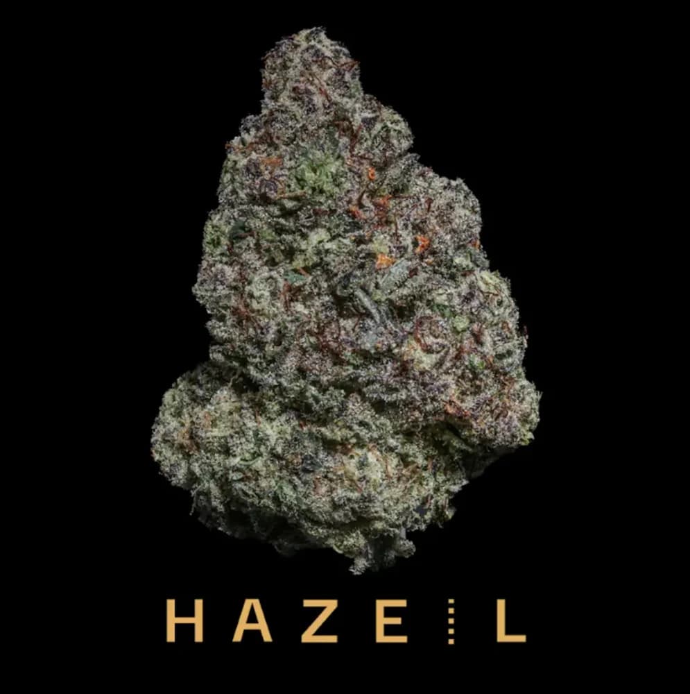 Hazel