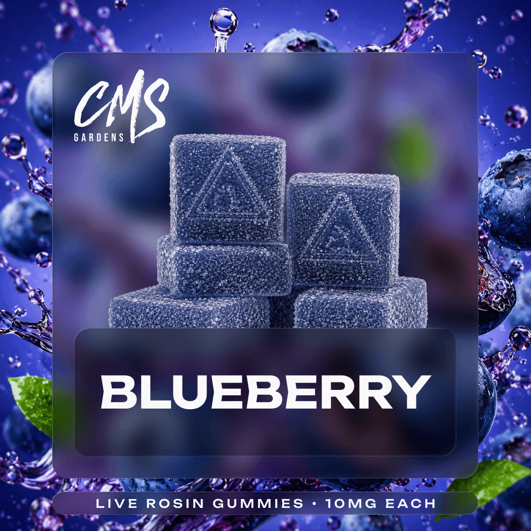 CMS Gardens Blueberry [10pk] (100mg)