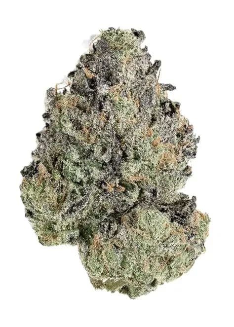 KODIAK