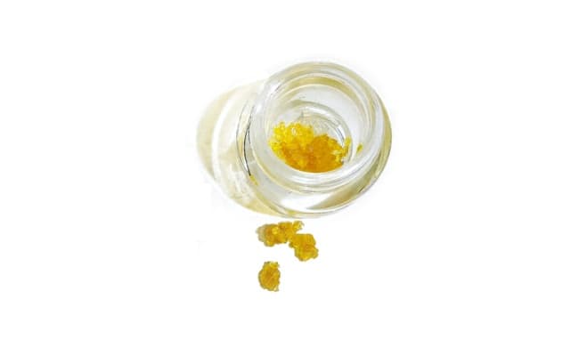Pressure Pressure | Shake Shack (H) Live Resin Sugar