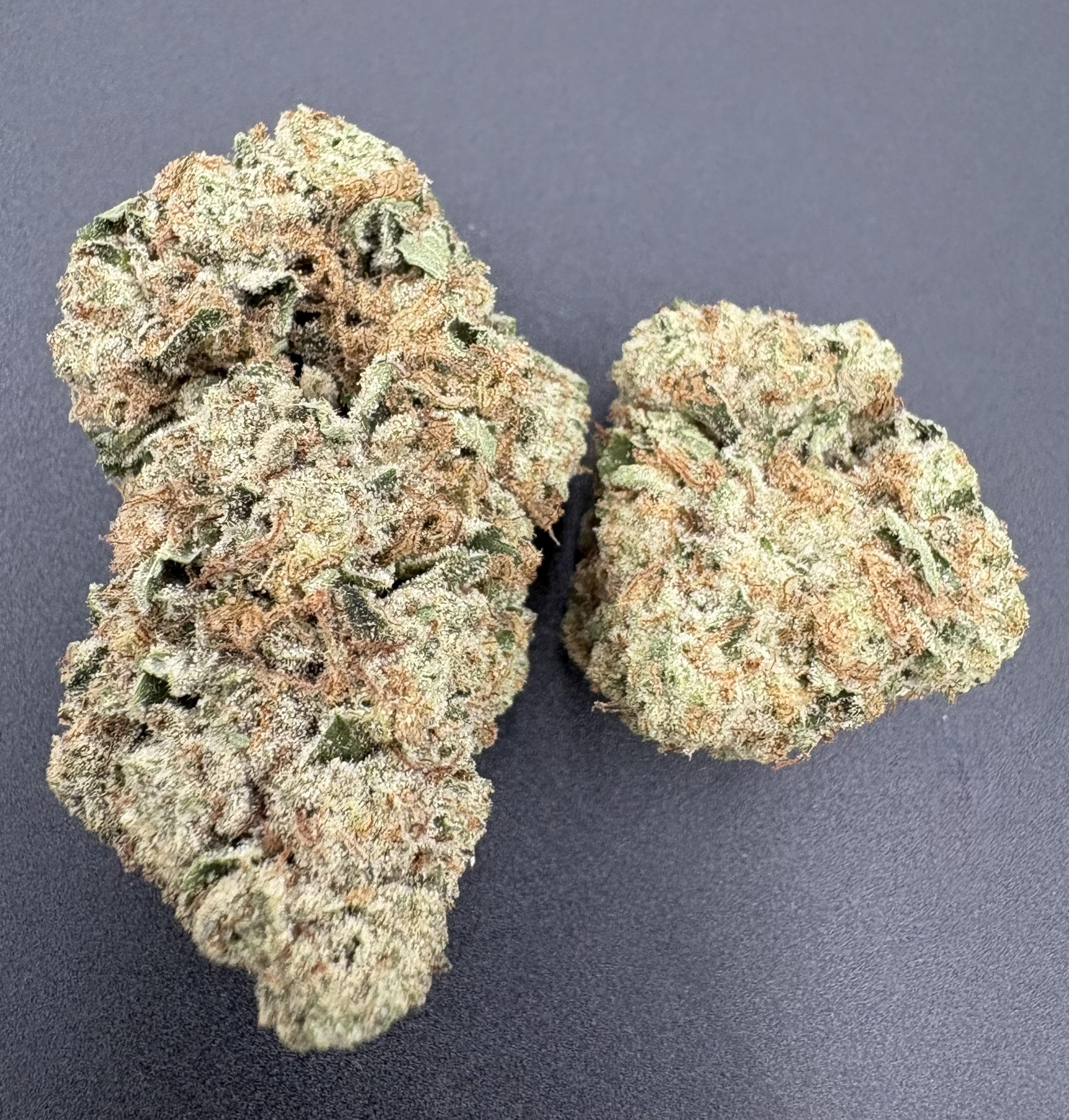 Williams Wonder Farms Purple Punch (Williams Wonder)