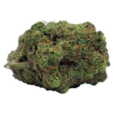 Blood Orange Kush - Tweed - Dried Flower
