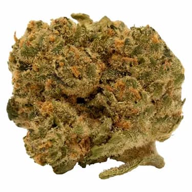 Tweed Chemsicle - Tweed - Dried Flower