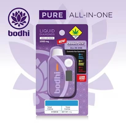 ​Bodhi High - Pure