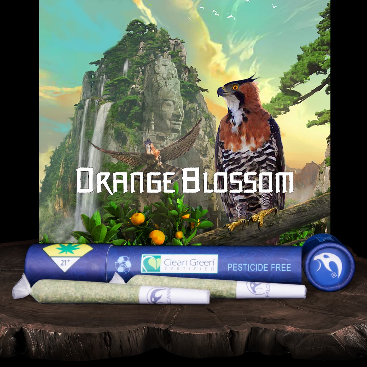 Falcanna Orange Blossom Pre-Roll 2-pack | 1.2g