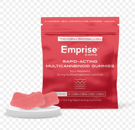 Emrpise Rapid