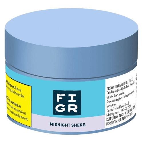 FIGR FIGR - Midnight Sherb Dried Flower