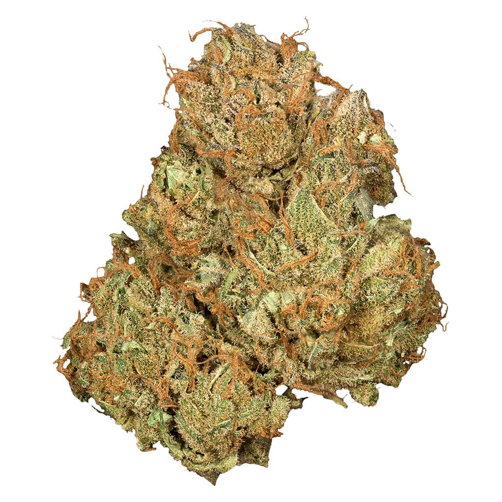 Orchid CBD Orchid CBD Jean Guy THC:CBD Balanced / 3.5g / Whole Flower / Sativa