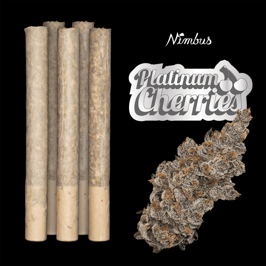 Nimbus Darts