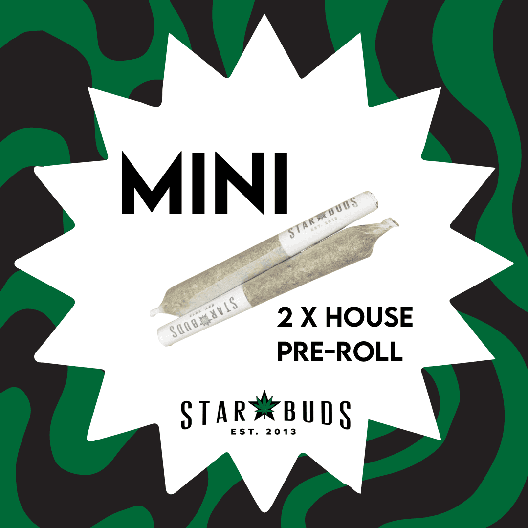 Star Buds SDG OG | Mini House Pre Rolls | 2 x .5g