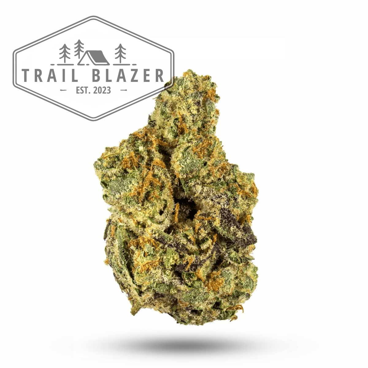 Trailblazer Cream Soda