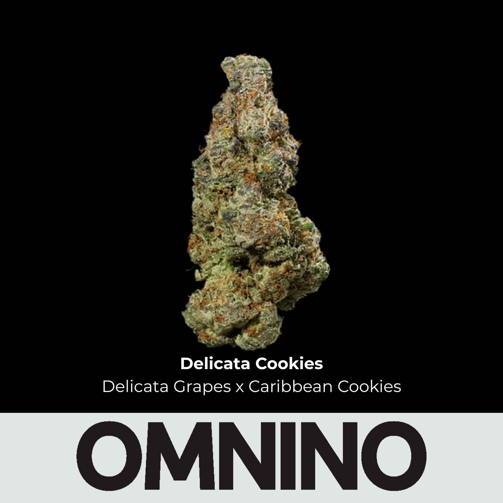 Omnino