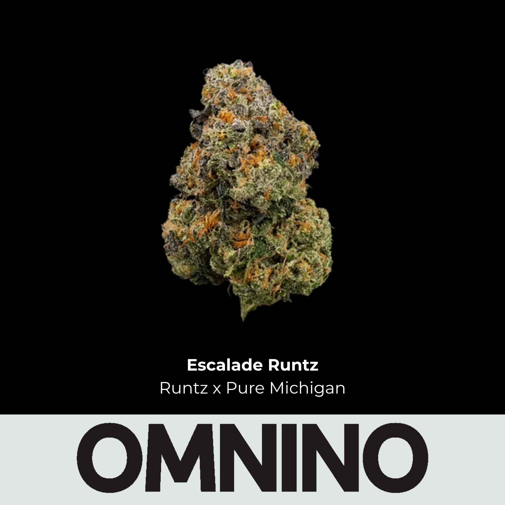 Omnino