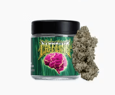 Seed Junky Flower 3.5g (Jar) | S | Caffeine