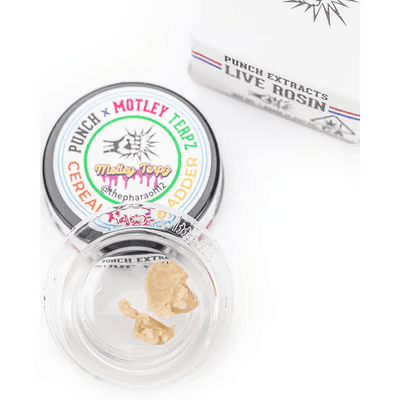 PUNCH Orange Krush - T4 - Live Rosin