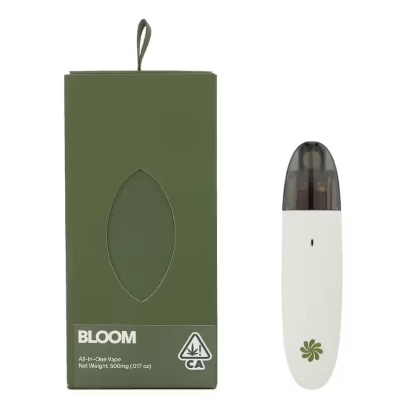 BLOOM Mimosa