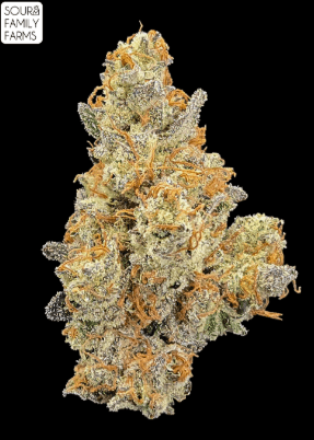 Sour Family Farms SNL | Flower | 1g