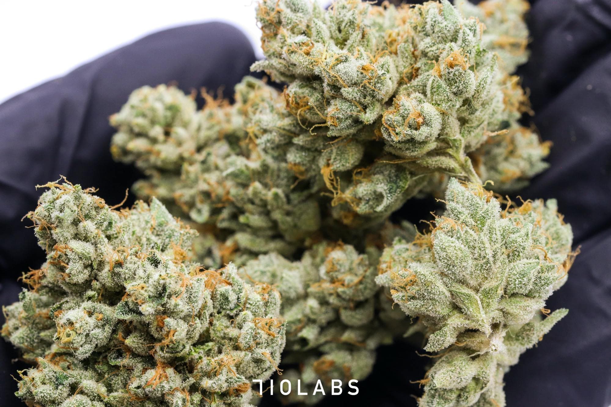 710 Labs The Sweeties #7
