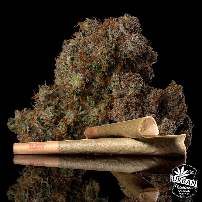 Urban Wellness Daily Grapes [.5g]
