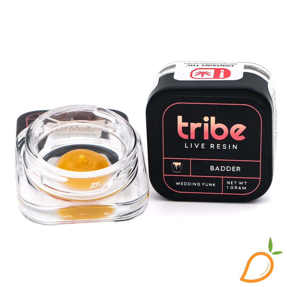Tribe