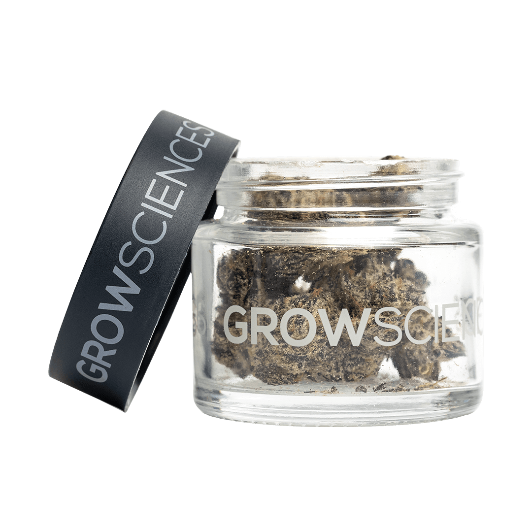 Grow Sciences Pineapple Fruz