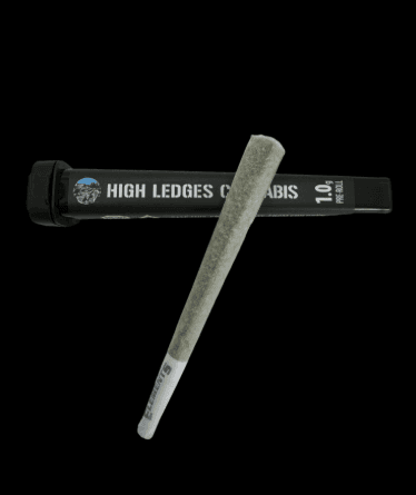 High Ledges Cap Junkie x Cap Junkie Hash | Infused Preroll