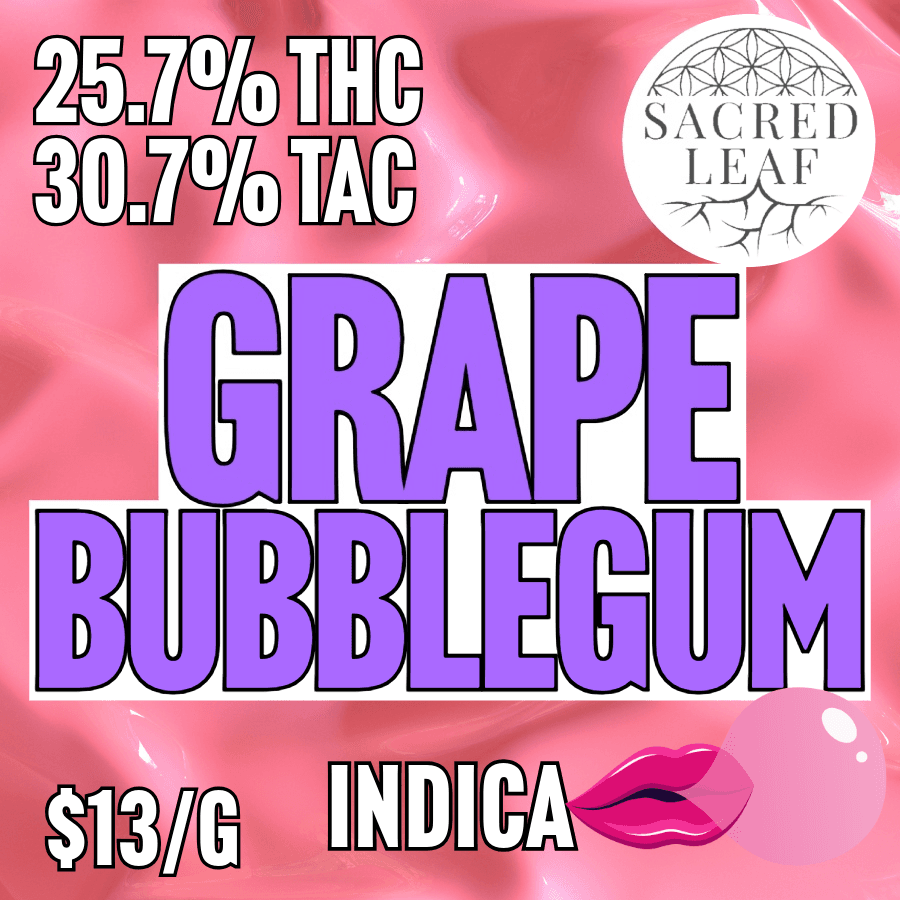 Sacred Leaf BULK - Grape Bubblegum