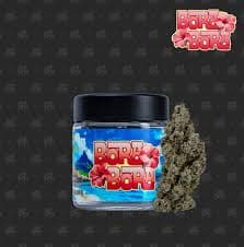 Seed Junky Flower 3.5g | H | Bora Bora (Jar)