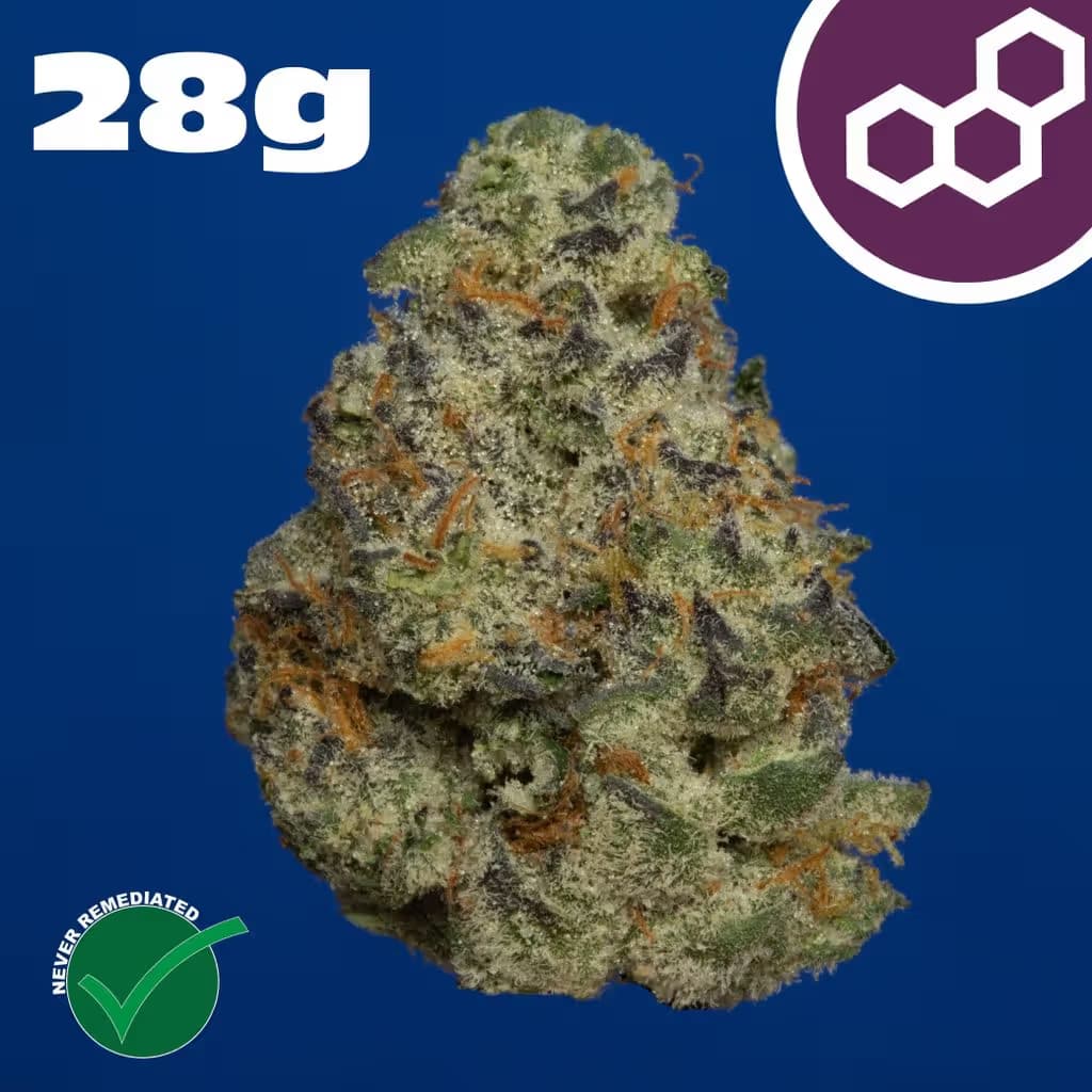 Theraplant Plasma Gas