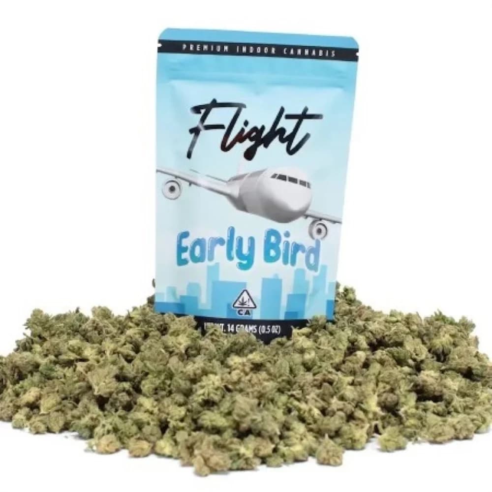 Flight (EARLY BIRD) JACK HERER | 14G FLOWER - 14 G