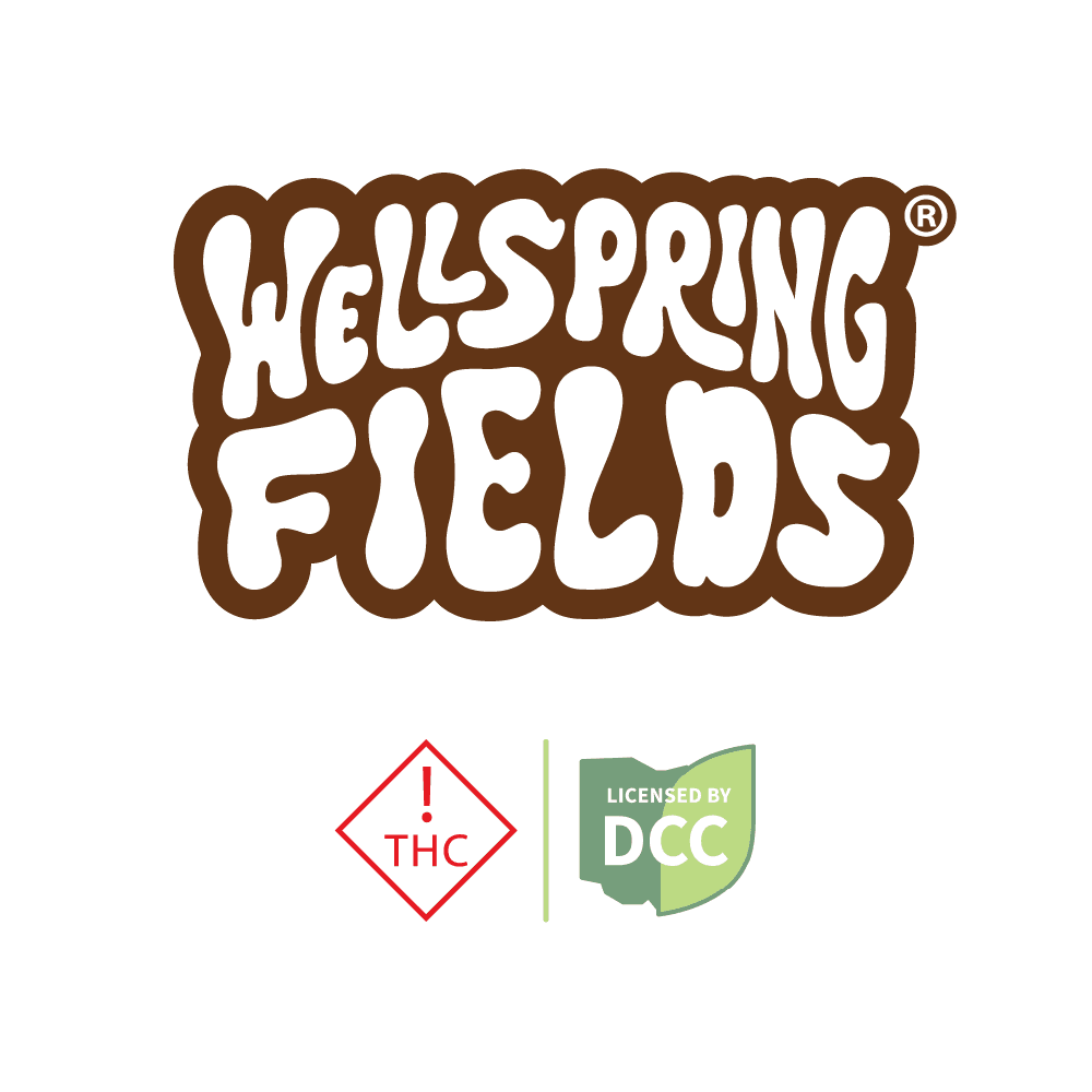 Wellspring Fields Lime Seltzer | 1 Can