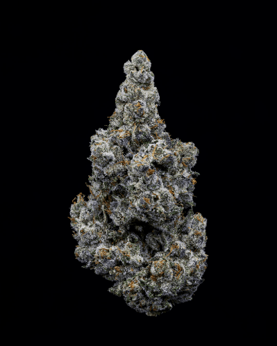 $18/G SHELF (2) Alternative Solutions: 91 Octane (H-S)