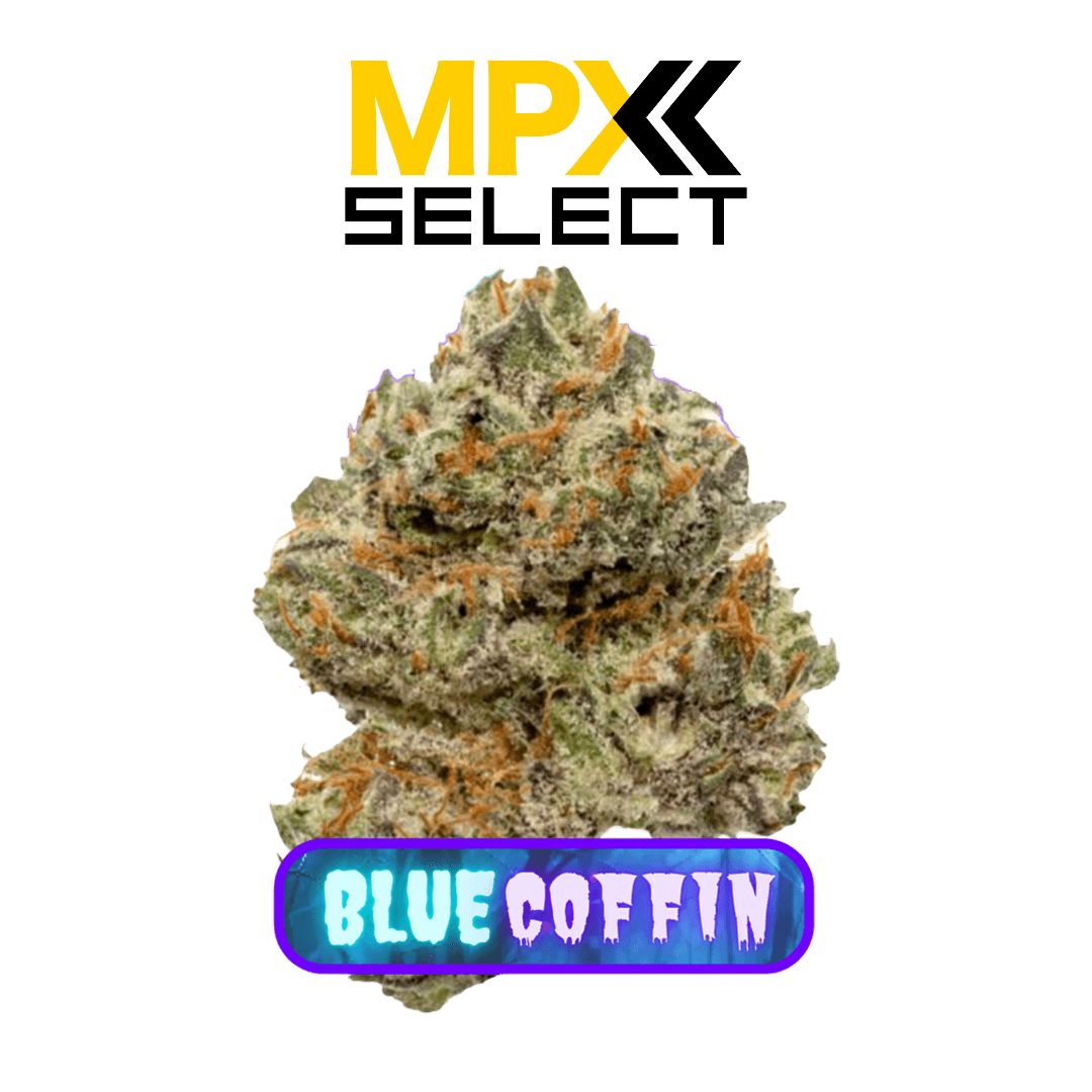 MPX Select Flower MPX Select Blue Coffin Flower