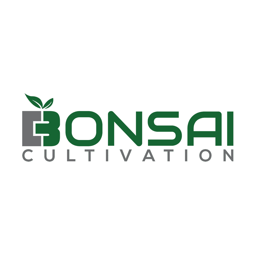 Bonsai Cultivation Moonbean