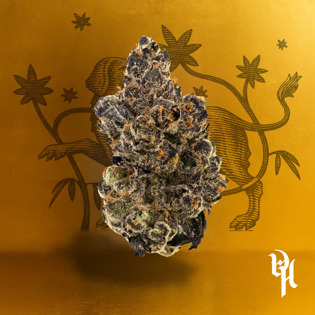 DogHouse Pre-rolls