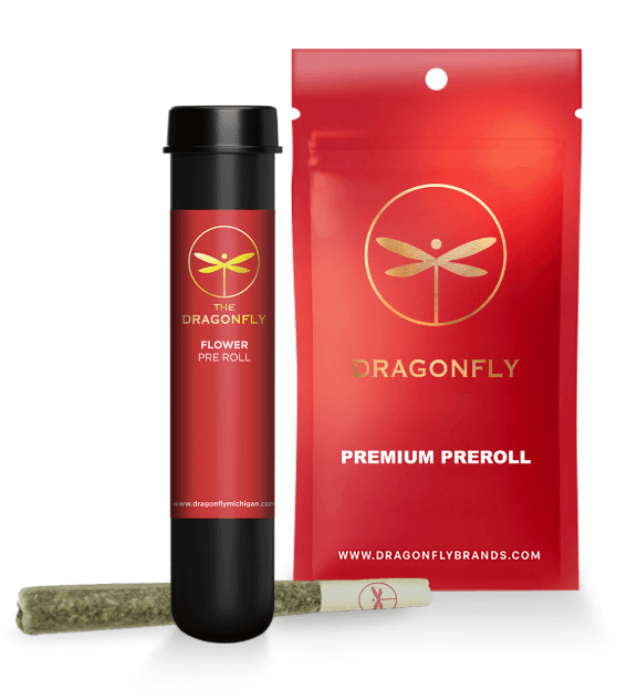 Dragonfly