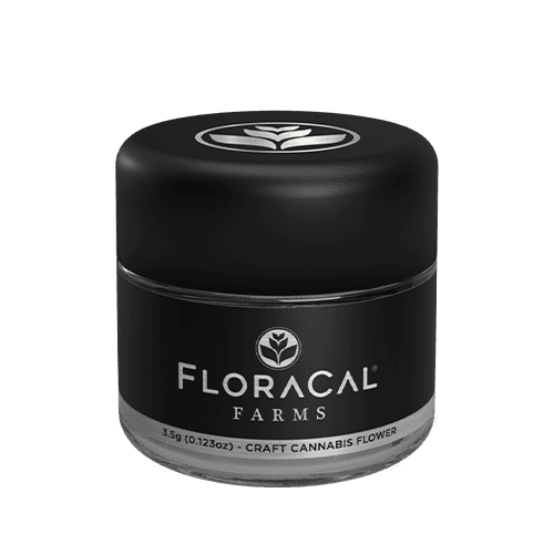 FloraCal Farms Slow Disco Flower