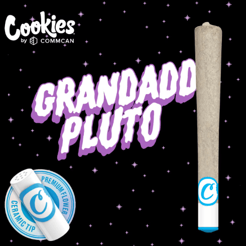 Cookies Grandaddy Pluto - Preroll 1g