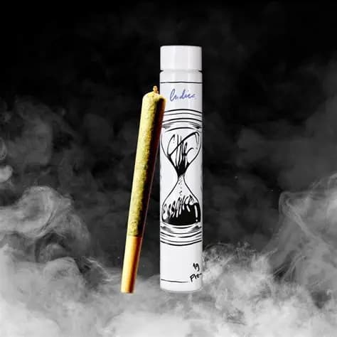 (the) Essence Ghost Milk J's Pre-Roll - 1g