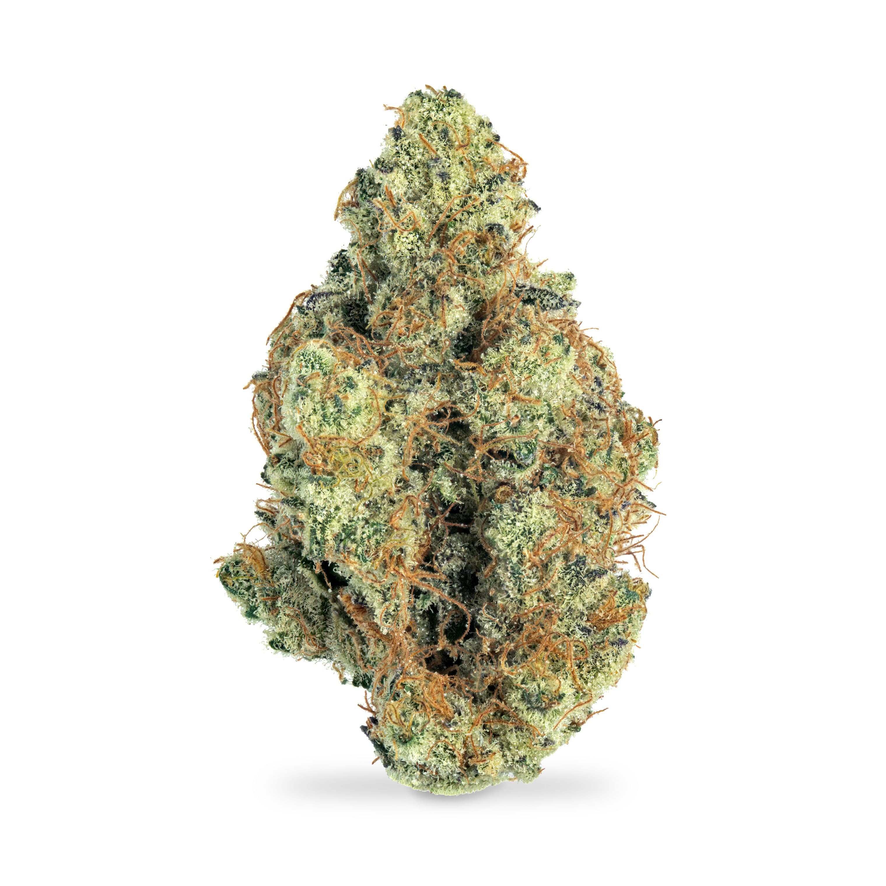 High Noon Cultivation
