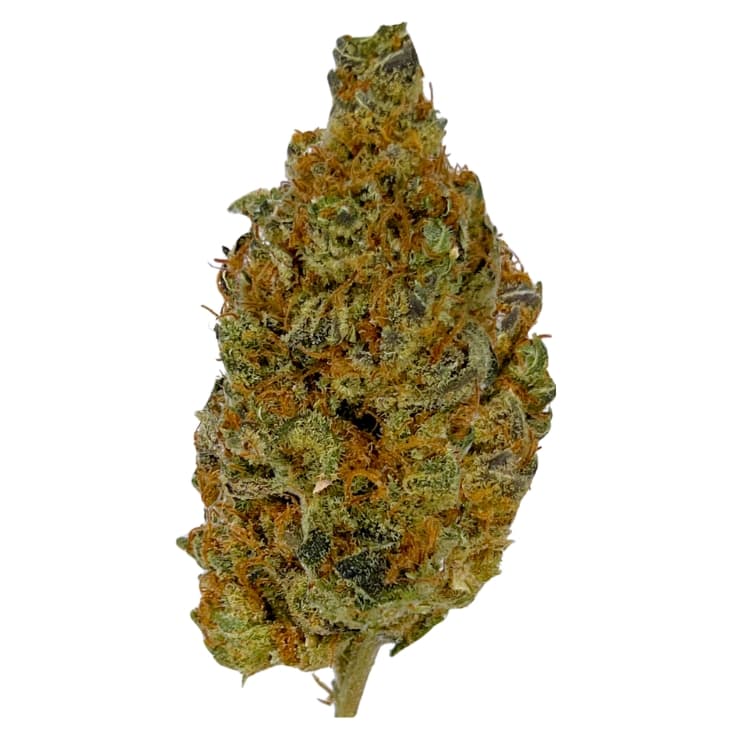 West Coast Gas
