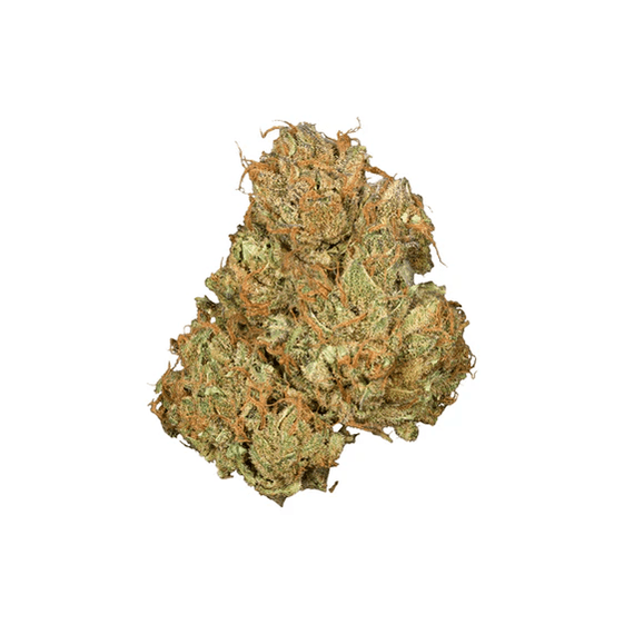 Orchid CBD Jean Guy CBD