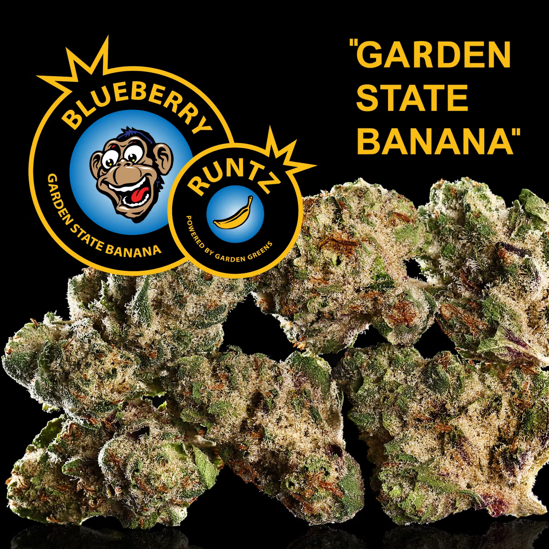 Garden State Banana Garden State Banana Flower 3.5g- GMO BX1
