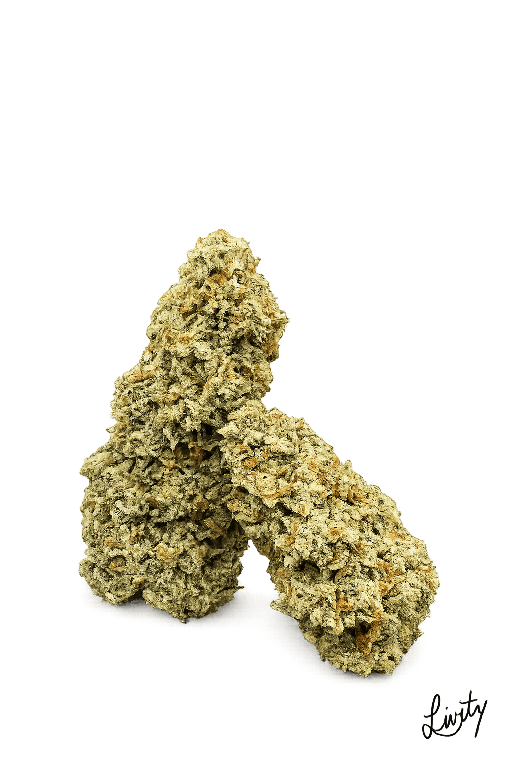 Livity Haze #12