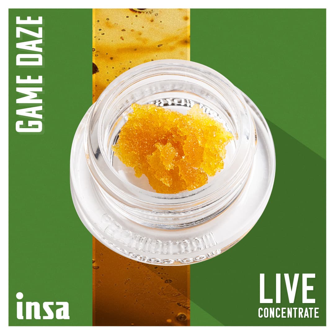 Insa Live Sugar - Game Daze