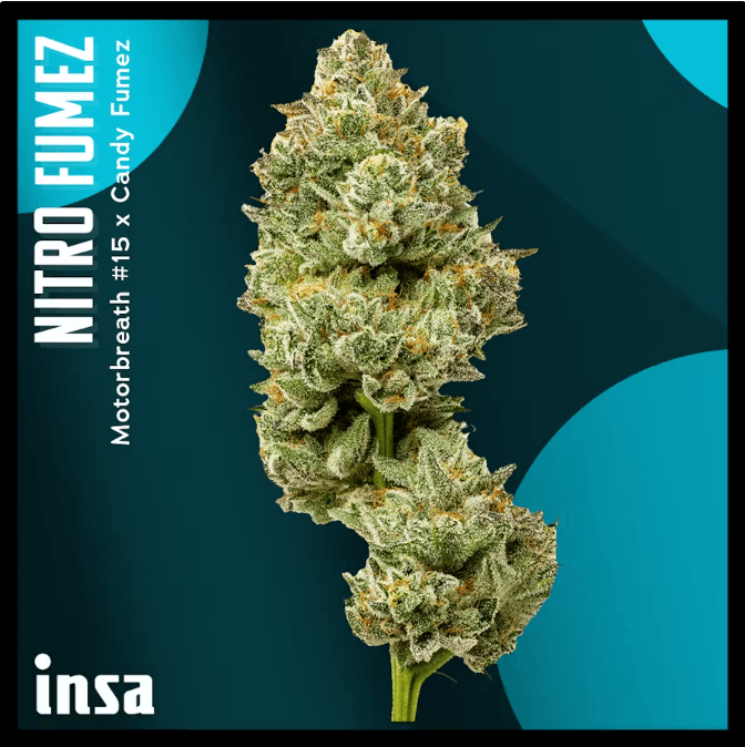 Insa Nitro Fumez | Flower | 14g