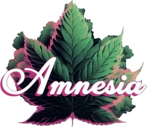 Amnesia 2g Liquid Diamond Disposable - Banana Split