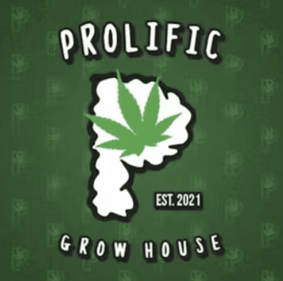 Prolific Junkyard Caviar - Pre-Roll - 1g