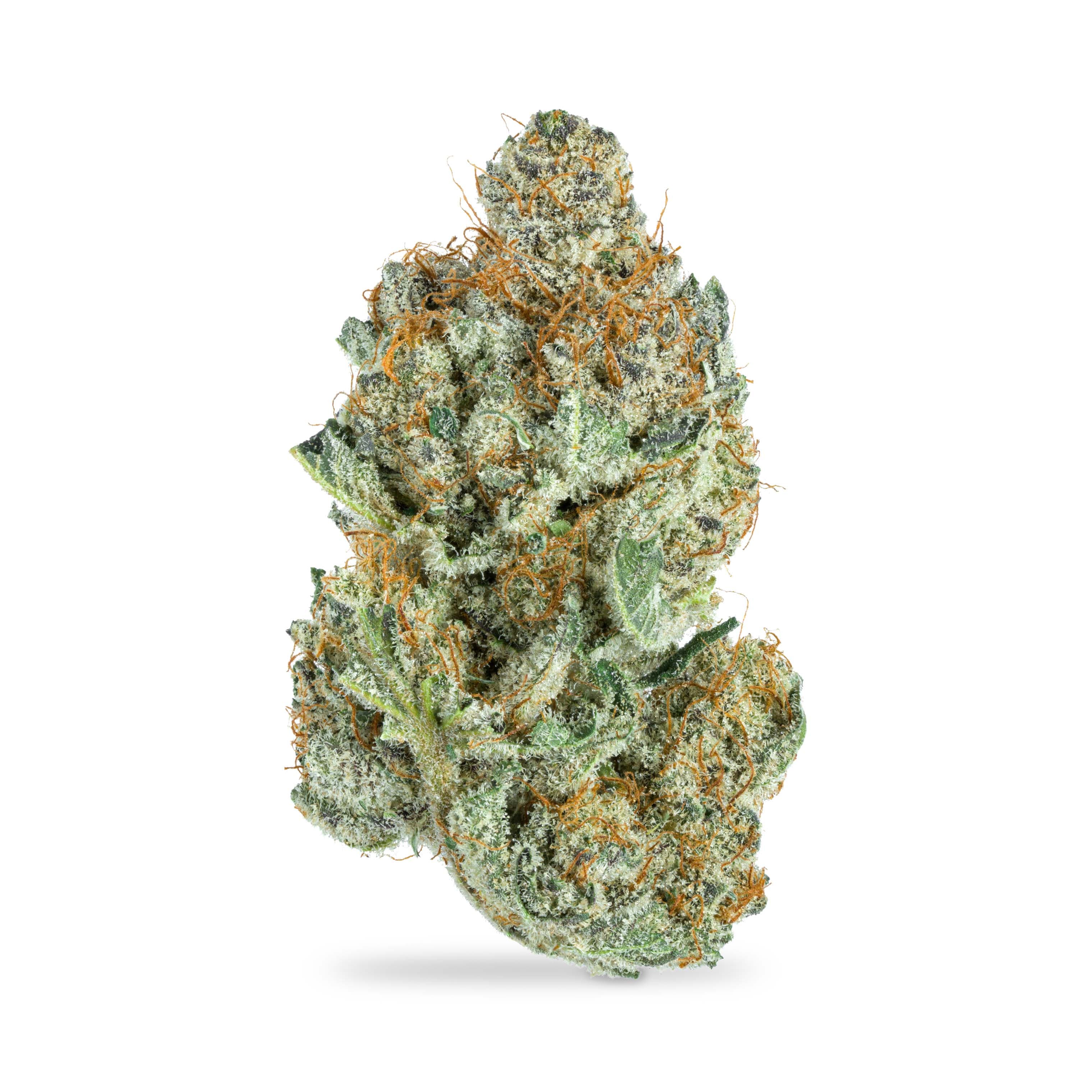 Cranium Cannabis Macaveli